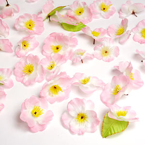 花びらセット　桜