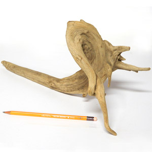 1点物 オブジェ 流木 38cm 通販 販売